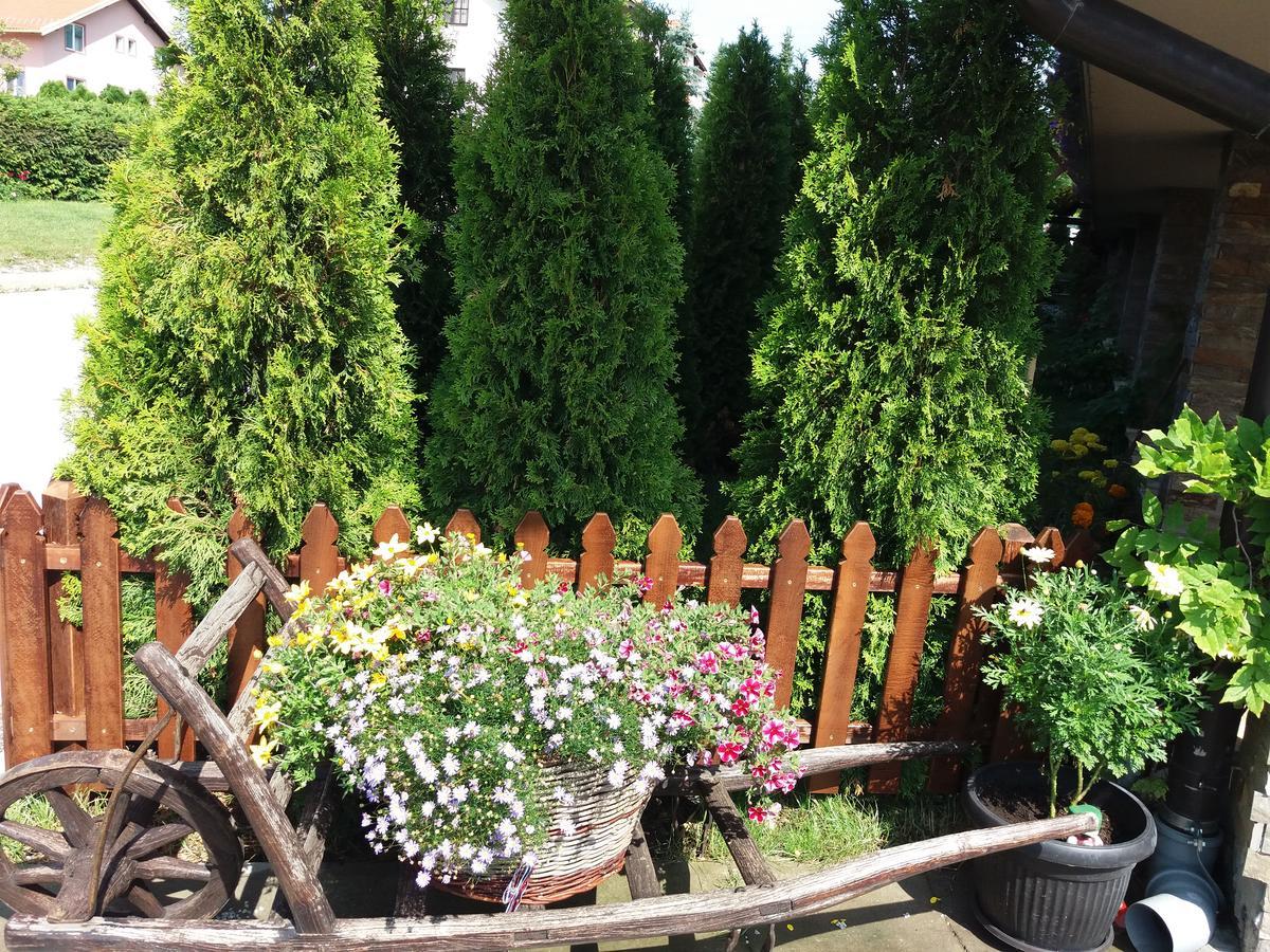 Centar! Masa Zlatibor Apartment ภายนอก รูปภาพ